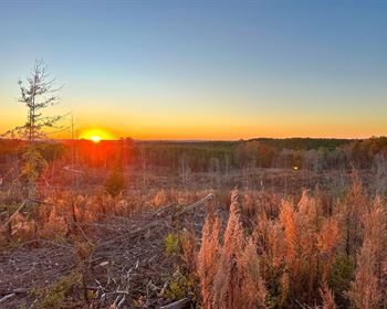 Beautiful Hunting Tract Near Lake Martin