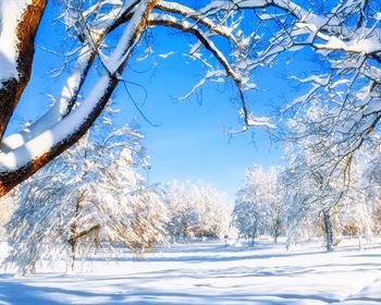 Will A Real Estate License Help You as a Land Investor?