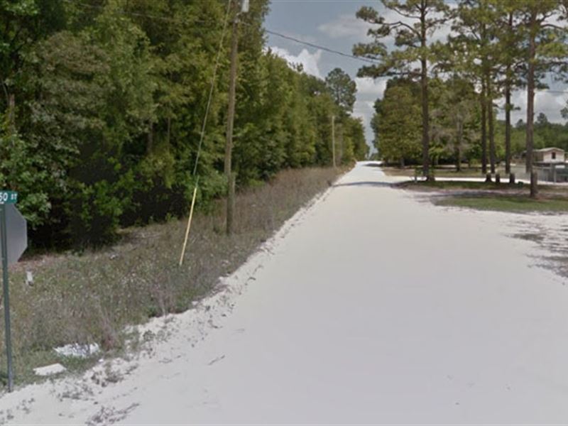 Gilchrist County, Florida $78,000, Lot for Sale in Florida, #124013 ...