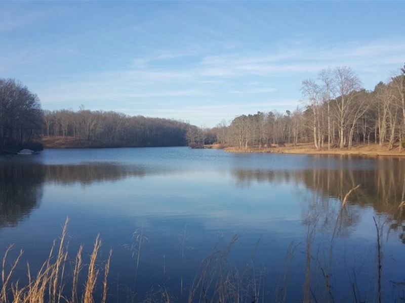 Summertown, TN Lawrence County 2.18, Lot for Sale in Tennessee, #167080 ...