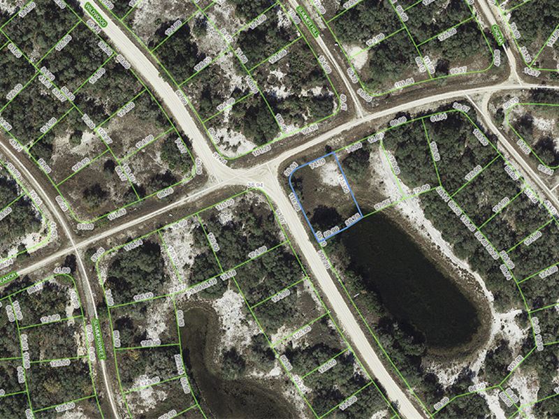 Land For Sale Near Lake Placid Fl