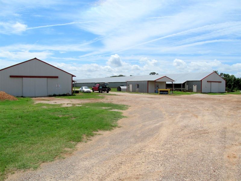 Poultry Farm, 20 Acres East Texas Lot for Sale in Winnsboro, Franklin