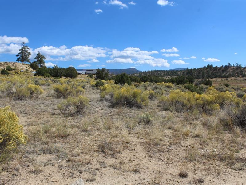 Old Lagunitas Road Home Lot : Cuba : Sandoval County : New Mexico