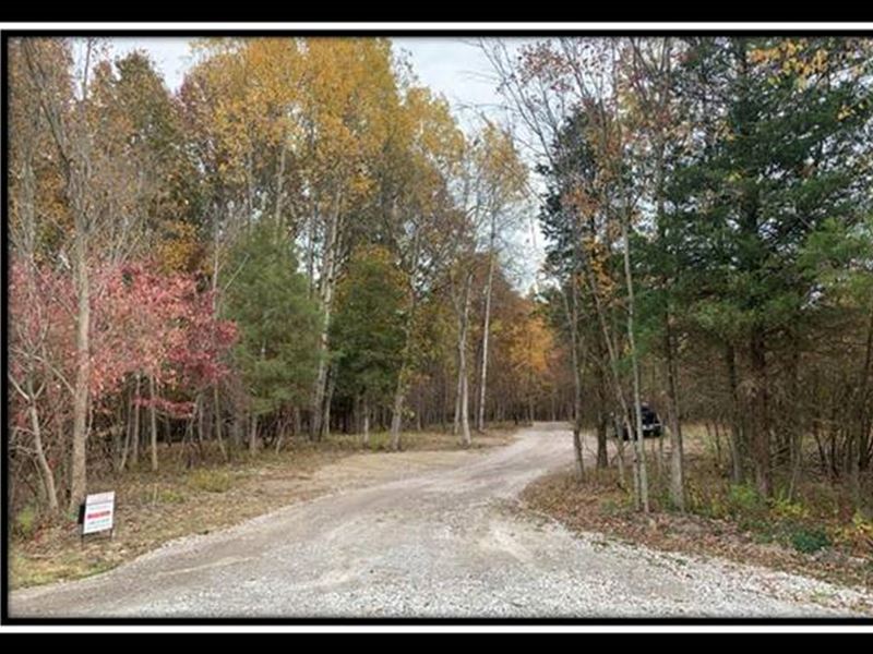 Beautiful Wooded Estate Home Site : Sunbury : Delaware County : Ohio