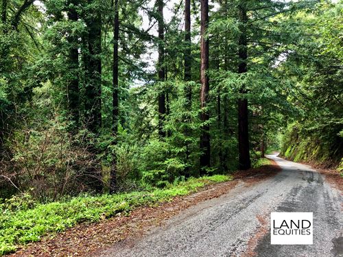 Secluded Redwood Forest Paradise Lot for Sale by Owner in