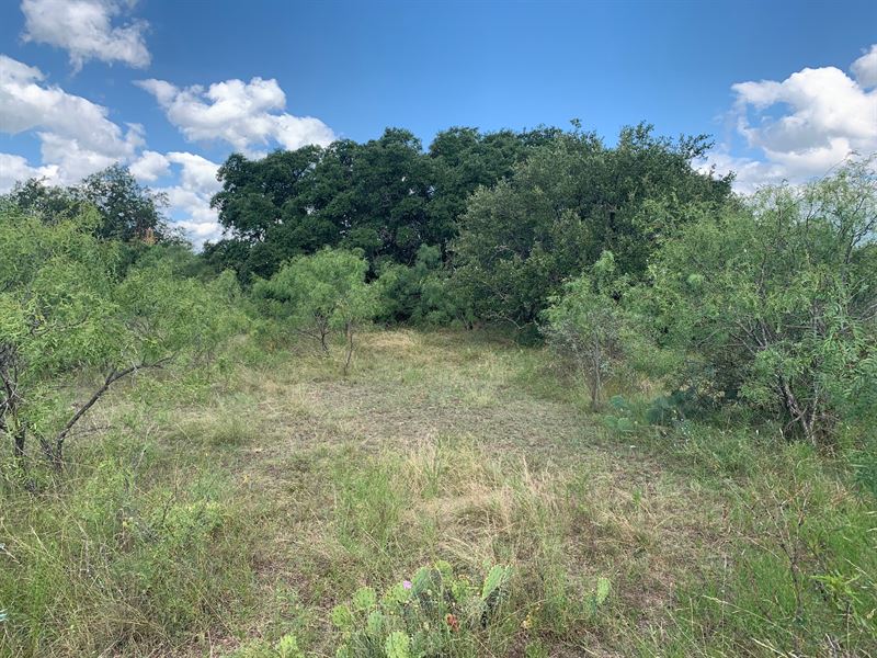 15 Acres with Exotics : Menard : Menard County : Texas