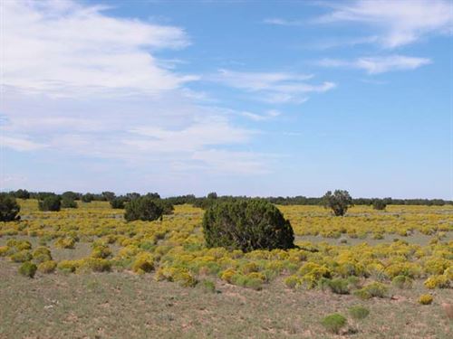 1 15 acres in sanders az lot for sale by owner in sanders apache county arizona 247817 lotflip lotflip