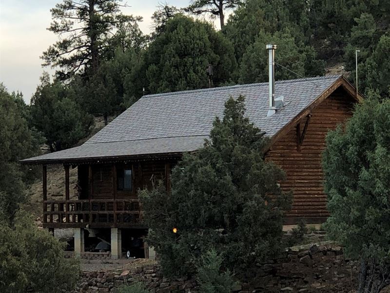 Heron Lake Mountain Cabin Chama NM : Lot for Sale in ...