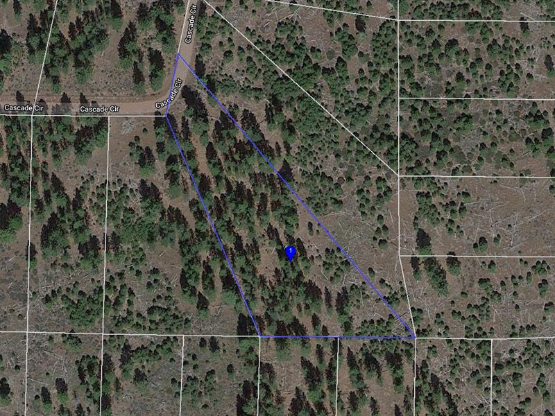 1.43 Acres Wooded Lot in California : California Pines : Modoc County : California