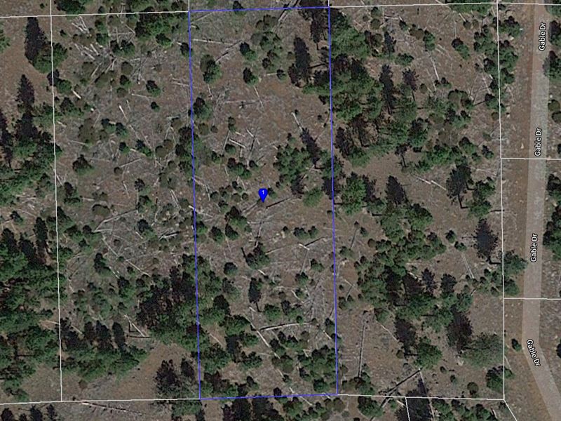 .92 Acre in California Pines : California Pines : Modoc County : California