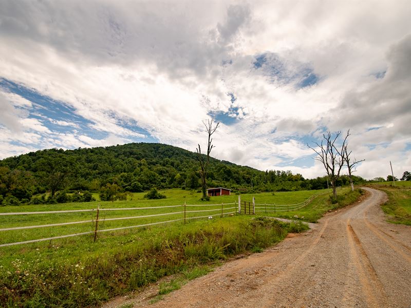 poultry farm for sale in tennessee