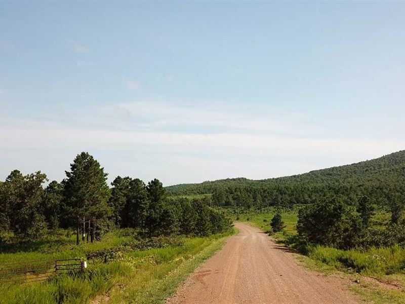 4.46 Acres in Le Flore County, OK : Wister : Le Flore County : Oklahoma