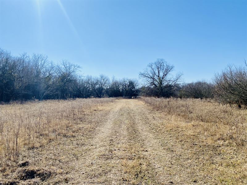 South of Austin, Owner Financing : Lockhart : Caldwell County : Texas