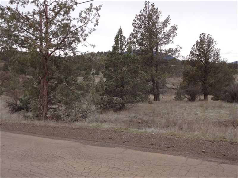 1.02 Acre Kcre Siskiyou County, CA : Hornbrook : Siskiyou County : California