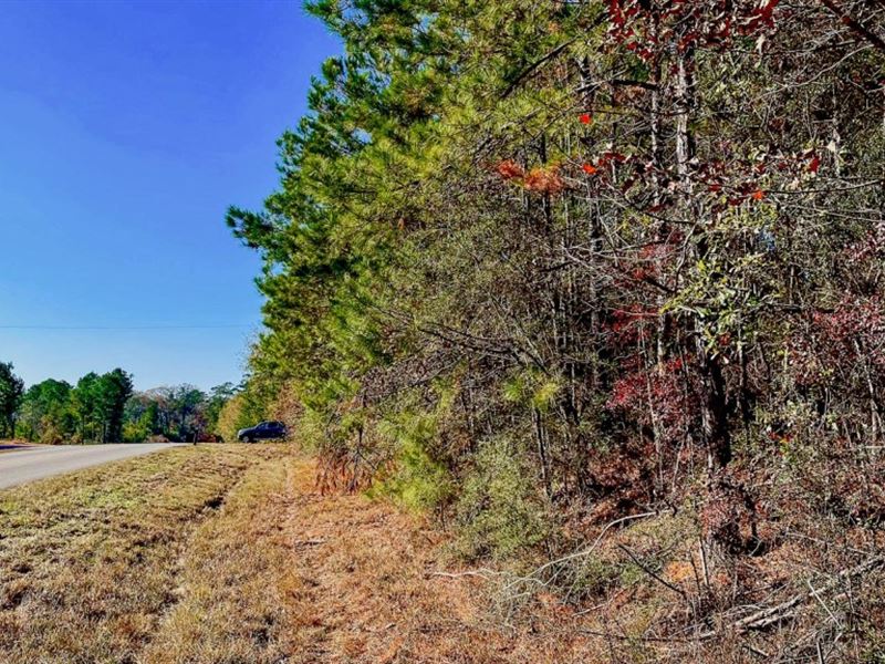 Perfect 4 Acres in Arcola, LA : Amite : Saint Helena Parish : Louisiana