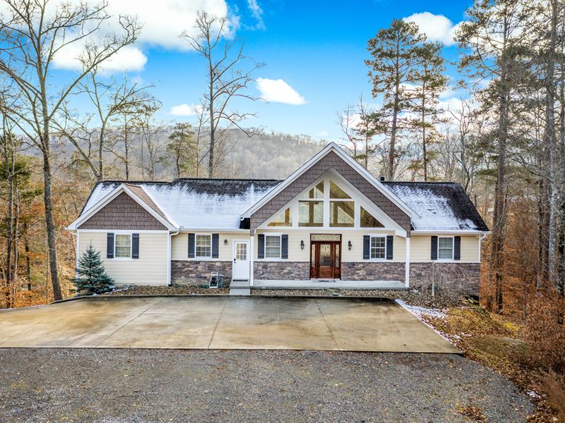 homes for sale in mcewen tn