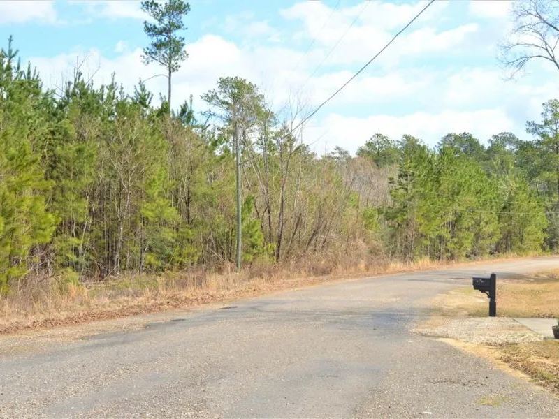 1.62 Acre North Pike Building Lot : McComb : Pike County : Mississippi