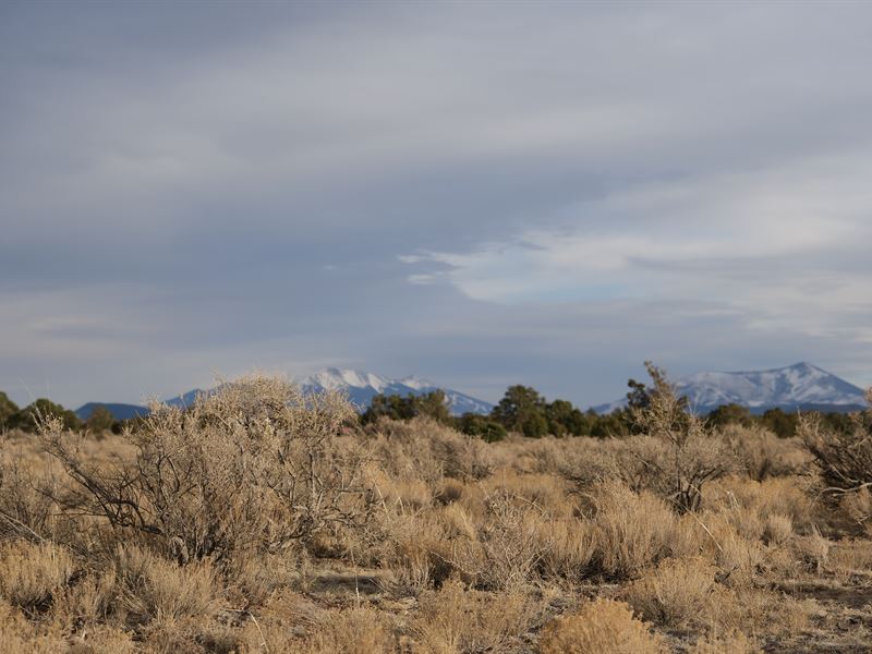 Off The Grid with a Mountain View : Williams : Coconino County : Arizona