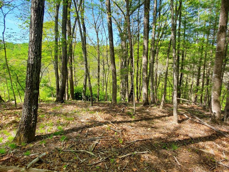 .552 Acre in Roanoke County : Roanoke : Roanoke County : Virginia