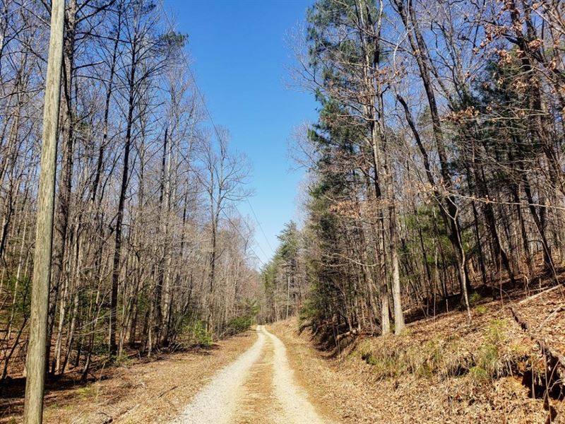 Owner Fi, Secluded and Quiet : Dahlonega : Lumpkin County : Georgia