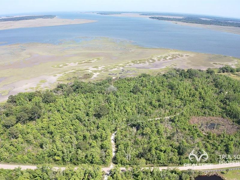 Coosaw/Judge Island Morgan River : Beaufort : Beaufort County : South Carolina