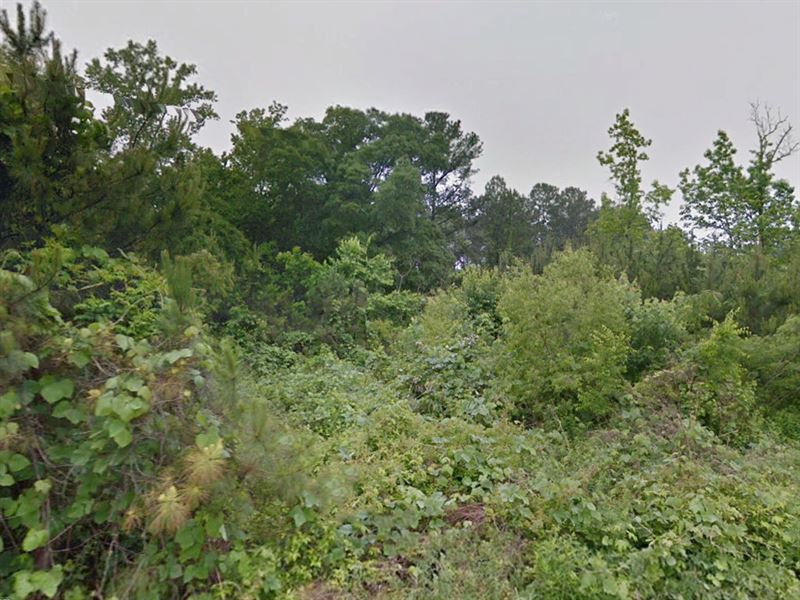 .35 Acres in Etowah County, AL : Black Creek : Etowah County : Alabama