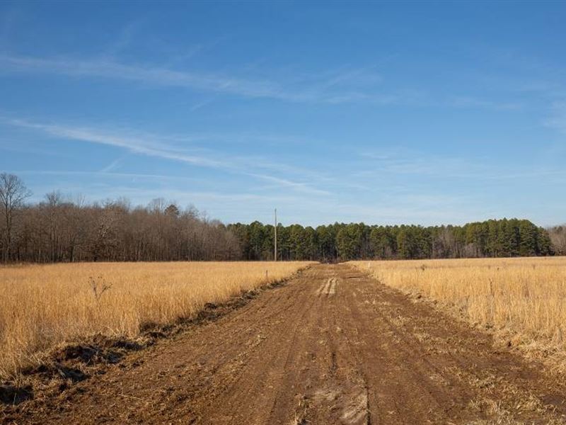 4.79 Acre in Shannon County, MO : Winona : Shannon County : Missouri