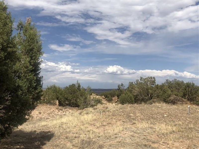 1.6 Ac Backing 428 Ac of State Land : Seligman : Yavapai County : Arizona