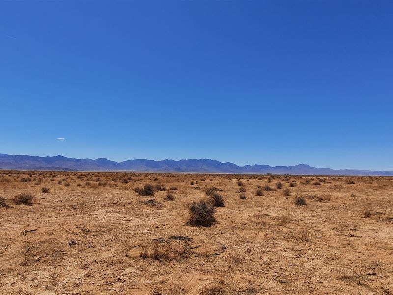 2.5 Acres Outside of Kingman : Kingman : Mohave County : Arizona