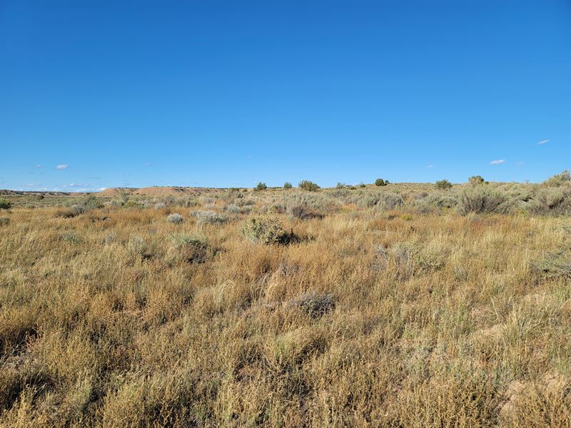 Two Lots, One Great Price : Chambers : Apache County : Arizona