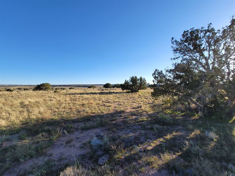 2 AZ Acres Backing State Land : Sanders : Apache County : Arizona