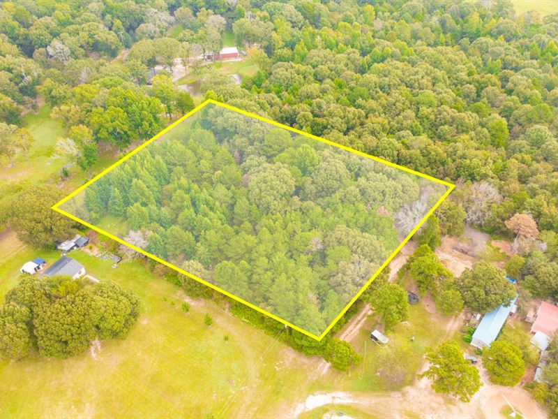 2 Ac of Oaks & Pine Tree Privacy : Tyler : Smith County : Texas