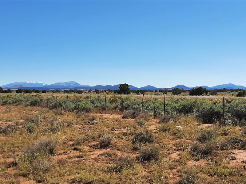 Highway to Heaven : Williams : Coconino County : Arizona