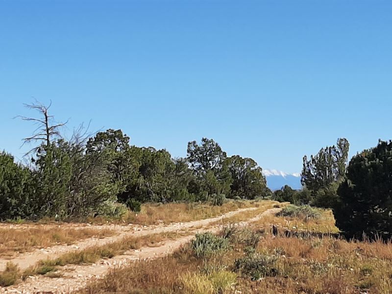 Gateway to The Grand Canyon : Williams : Coconino County : Arizona