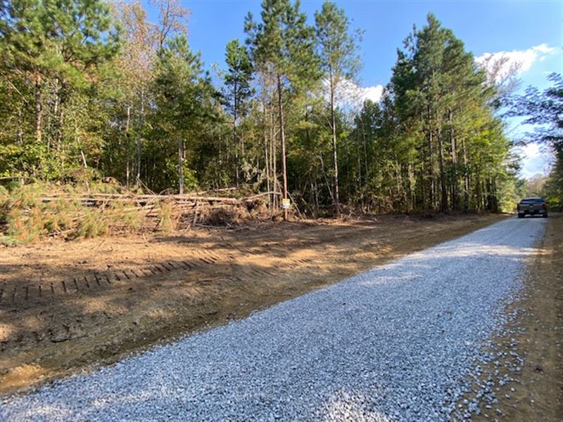9.58 Acre Home Site, Timber : Odenville : Saint Clair County : Alabama