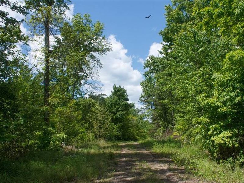 3.85 Acre in Wayne County, KY : Monticello : Wayne County : Kentucky