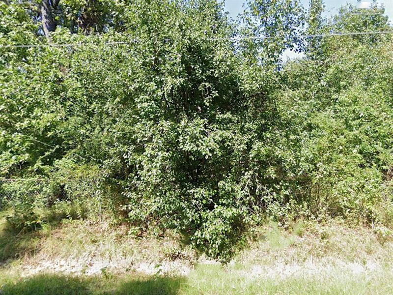 .23 Ac in Jefferson County, AR : Pine Bluff : Jefferson County : Arkansas