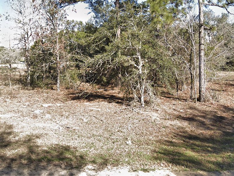 Double Lot, Lake Community : Interlachen : Putnam County : Florida