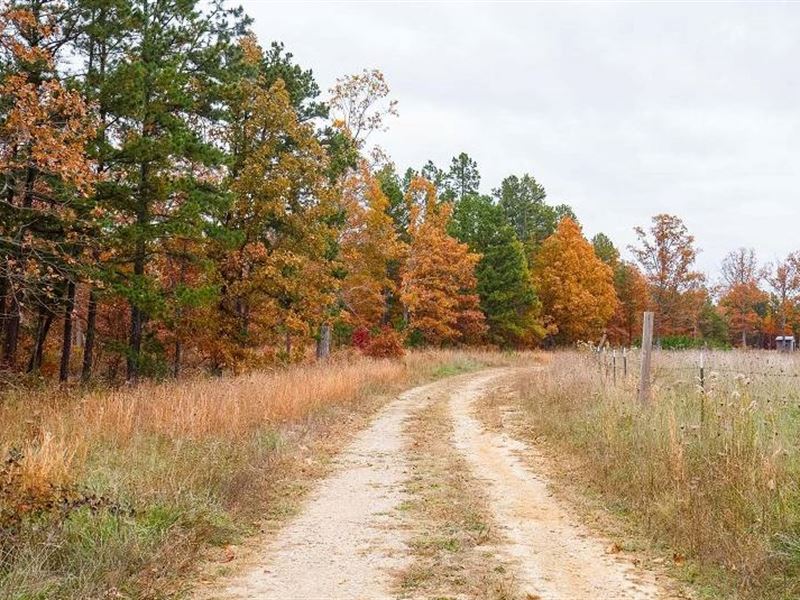 5.86 Acres in Reynolds County, MO : Redford : Reynolds County : Missouri