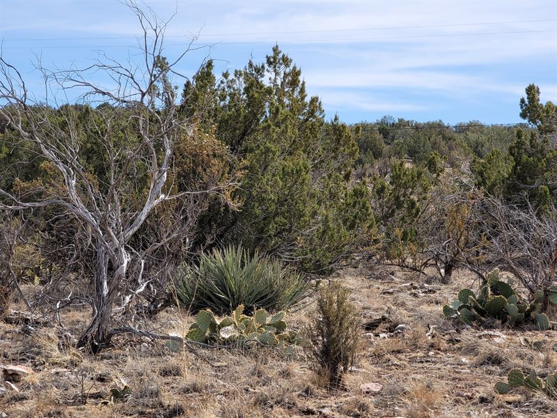 4.15 Acres with a Valley View : Seligman : Yavapai County : Arizona