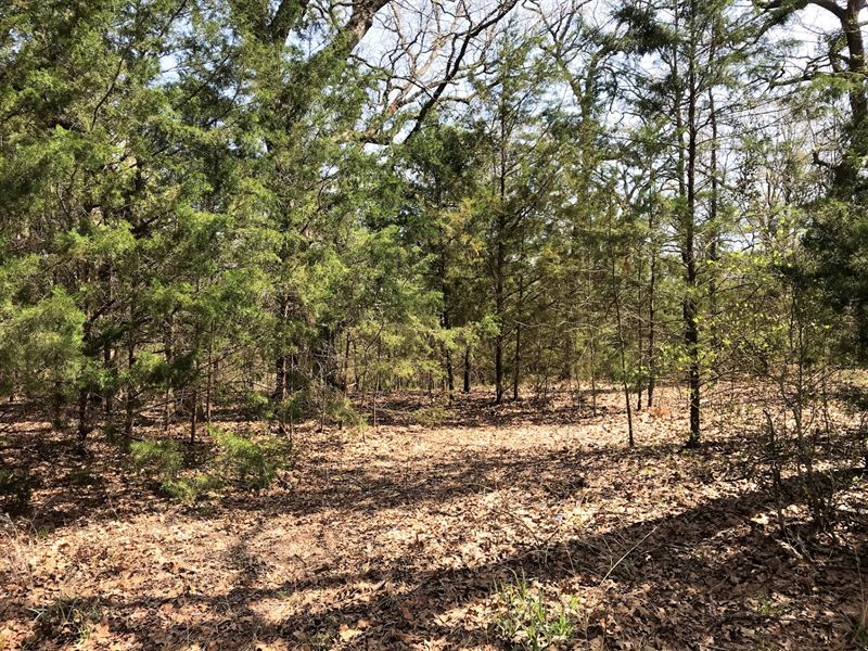 .18 Acre Unrestricted Lake Land : Mineola : Smith County : Texas