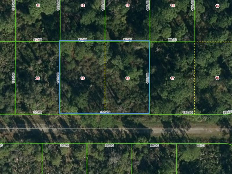 Leisure Lakes Double Lot : Lake Placid : Highlands County : Florida