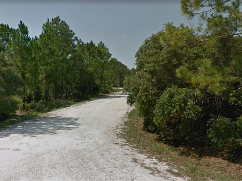 Amazing Leisure Lake Property : Lake Placid : Highlands County : Florida