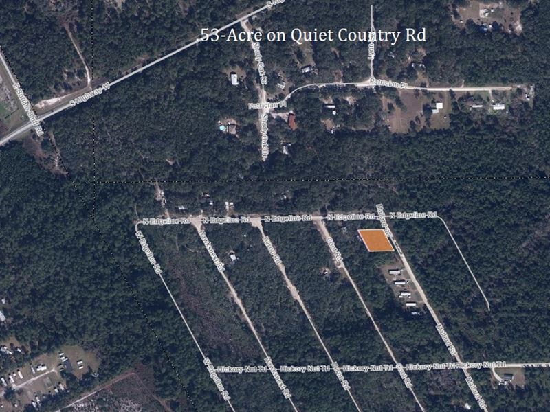 1/2 Acre for The Outdoor Lover : Satsuma : Putnam County : Florida