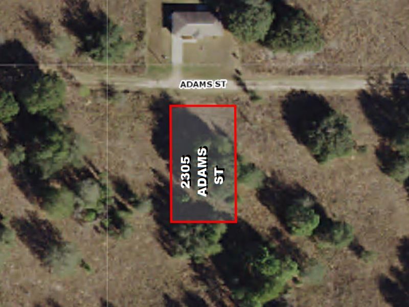 Dry & Level Lot with Electric : Inverness : Citrus County : Florida