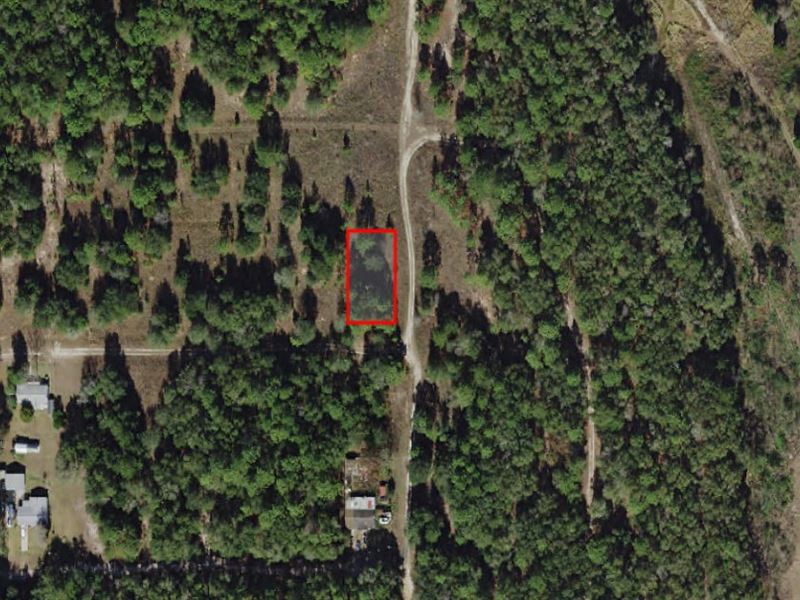 Oversized Corner Lot in Inverness : Inverness : Citrus County : Florida