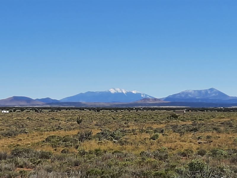 Untouched Acre, Valle, AZ : Williams : Coconino County : Arizona