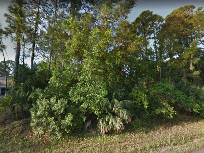 Homesite in Beautiful Neighborhood : North Port : Sarasota County : Florida