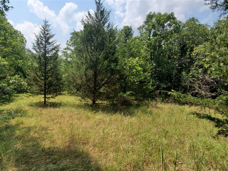 Missouri Land for Sale, 2.91 Acres : Benton : Benton County : Missouri