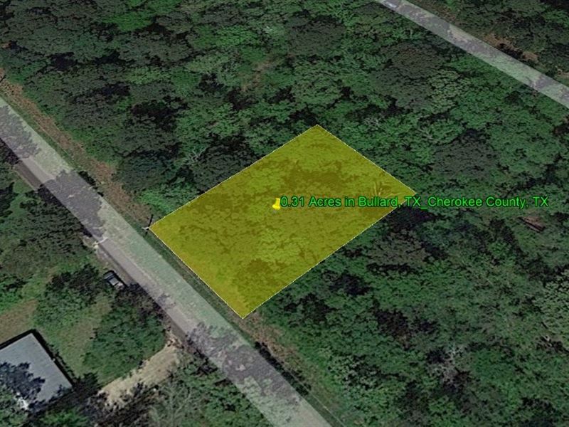 .31 Acre in Bullard, TX : Bullard : Cherokee County : Texas